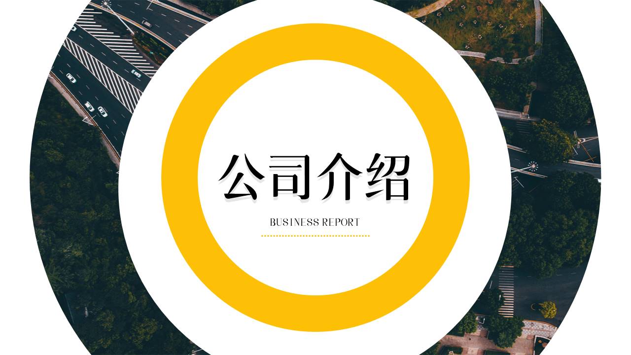高端商务 (100).pptx